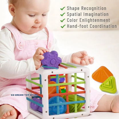 Colorful Shape Blocks Sorting Game Baby