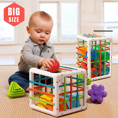 Colorful Shape Blocks Sorting Game Baby